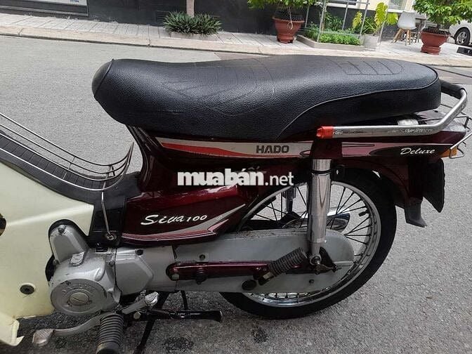Hado Siva 100 1998 Đỏ mận citt thùng 