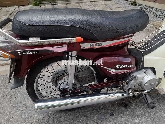 Hado Siva 100 1998 Đỏ mận citt thùng 
