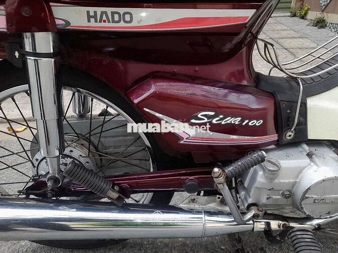 Hado Siva 100 1998 Đỏ mận citt thùng 