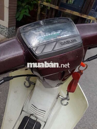 Hado Siva 100 1998 Đỏ mận citt thùng 