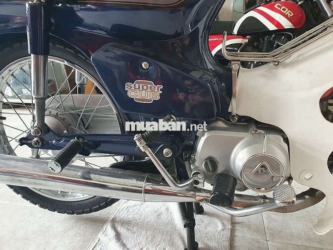 Honda Super Cub 50 Xanh 