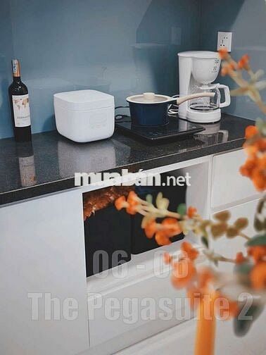 CHO THUÊ CĂN HỘ DUPLEX THE PEGASUITE 2 2PN 2WC FULL NỘI THẤT 15TR/TH