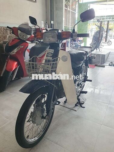 Honda Super Cub 50 Xanh 