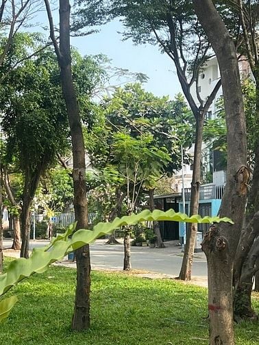 Cho thuê phòng 33m2- WC riêng, lối đi riêng tiện làm V.phòng , live…