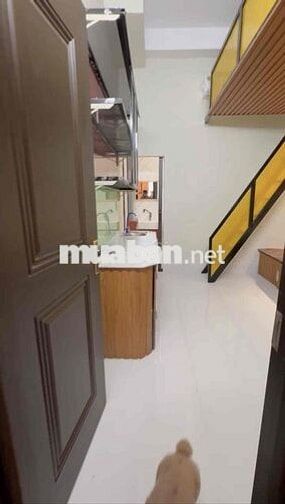 Dulex mới xây Sát đh Tdtu 3p - qua Lotte mart 5p