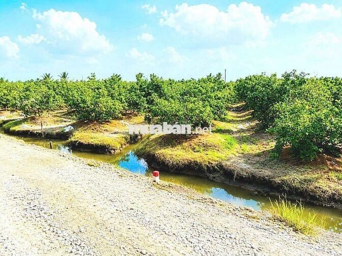 quá đẹp, chỉ 590tr sở hữu 500m2 đất vườn chuyển thổ view kênh