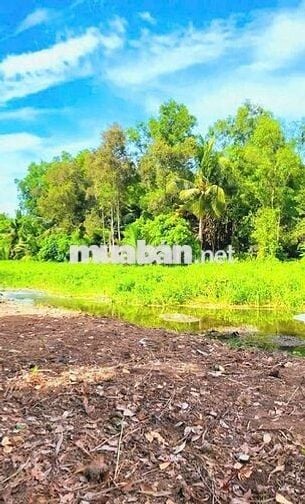 chỉ 520tr sở hữu 500m² đất vườn view kênh