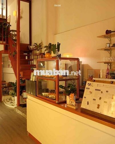 Tuyển Nhân Viên Quán Cà Phê