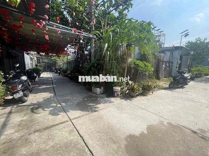 BÁN ĐẤT SHR 8,6*26m HEM 6M XD TỰ DO NGAY TRUNG TÂM NGÃ 5 VĨNH LỘC