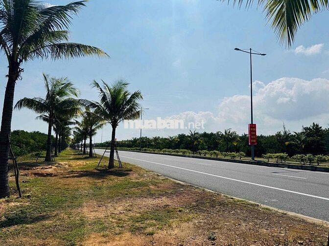 Chính Chủ Cần Bán 5898m2 Đất Rừng Sản Xuất Mặt Tiền Võ Chí Công