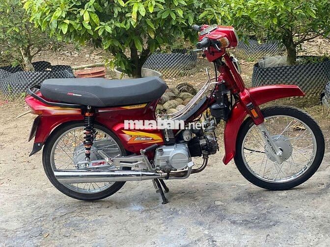 Honda Dream 50cc dọn kiểng 