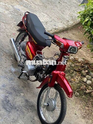 Honda Dream 50cc dọn kiểng 