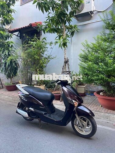 Honda Lead FI biển 72 - đá chống tắt máy