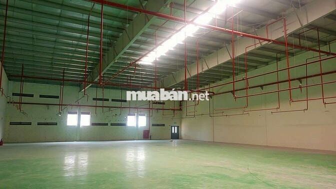 #TT  : Cho thuê xưởng KCN ngay TP Mới Bình Dương
 TDT 1300 m2
