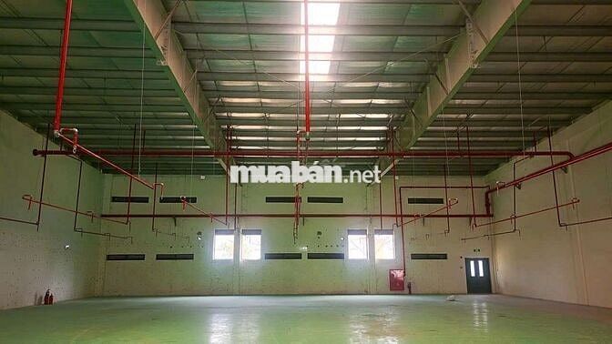 #TT  : Cho thuê xưởng KCN ngay TP Mới Bình Dương
 TDT 1300 m2