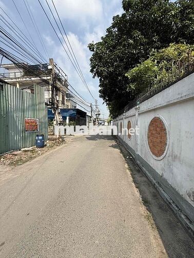 ĐẤT MT BÌNH HÒA 08 NGAY BÙI HỮU NGHĨA DT 100M
