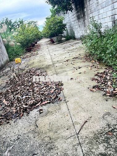 Bán đất đường bờ sông Đường Vườn Lài, Phường An Phú Đông, Quận 12