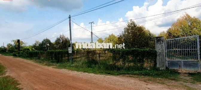 nhà và vườn sầu riêng 95x170m đường kênh TN 02