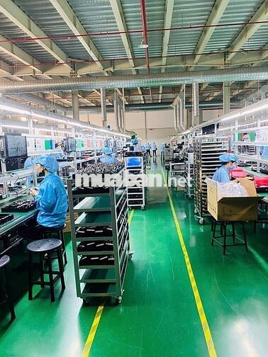 LINH KIỆN ĐIỆN TỬ - LÀM NGỒI - ỨNG TUẦN 9 - 13TR.