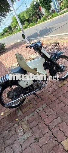Honda Cub 86 50cc Xanh lá 1992