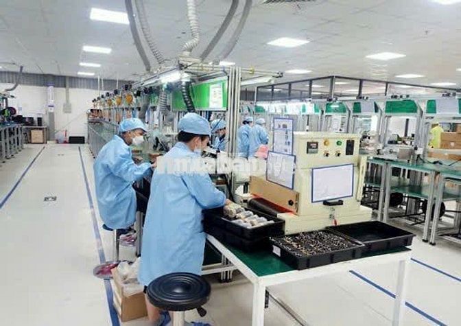 LINH KIỆN ĐIỆN TỬ - LÀM NGỒI - ỨNG TUẦN 9 - 13TR.