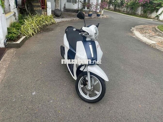 Yamaha Janus 125cc Trắng xanh