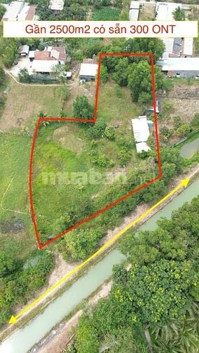 Đất vườn khu dân cư có thổ cư 2439m2 có sẵn 300 ONT. Giá 4.5 tỷ có bớt