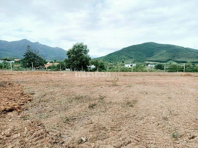 ĐẤT THỔ CƯ  MẶT TIỀN ĐƯỜNG NHỰA 80M² 