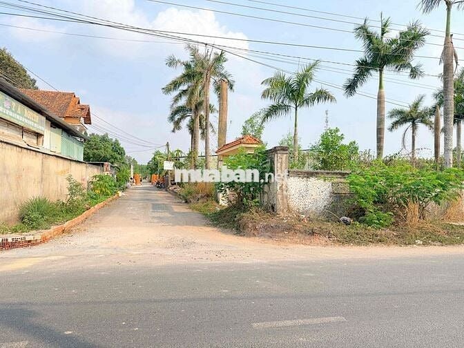 CHÍNH CHỦ CẦN BÁN LÔ ĐẤT ẤP 4 AN VIỄN TP ĐỒNG NAI 100m2 thổ cư