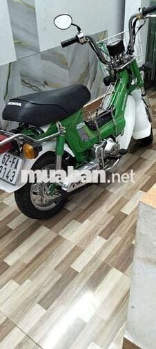 Honda Chaly màu Xanh lá