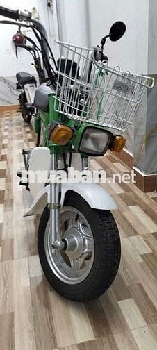 Honda Chaly màu Xanh lá