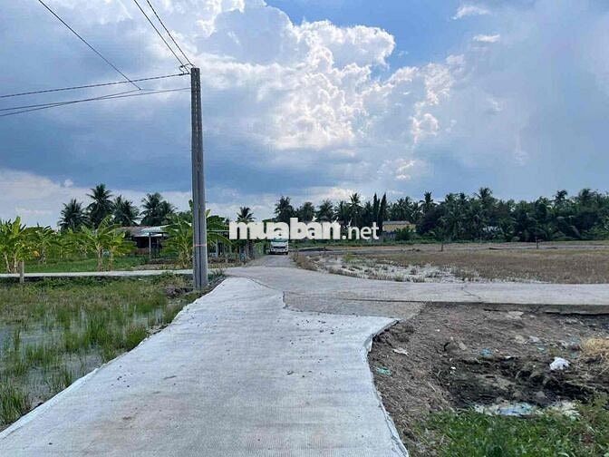 hơn 160m2 thổ cư giá 435tr cách nhựa 200m đức tân -tân trụ đường ô tô