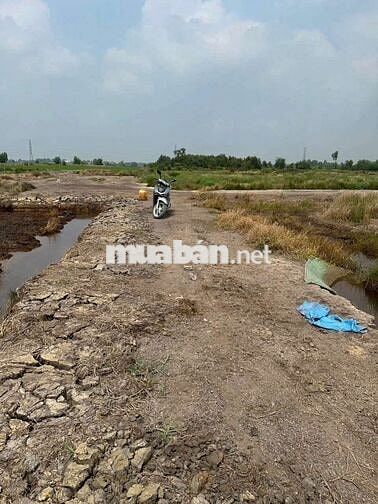 đất 47x50m đường Tân thạnh Đông