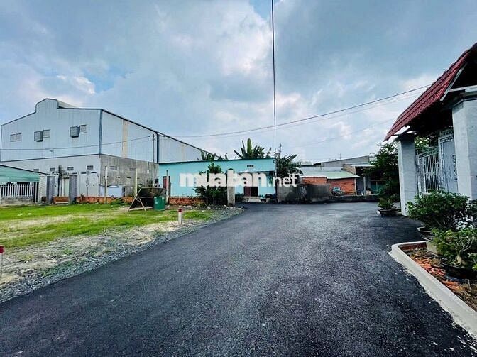 200m2 đất thổ cư trung tâm củ chỉ giá 1tỷ650 cần bay gấp