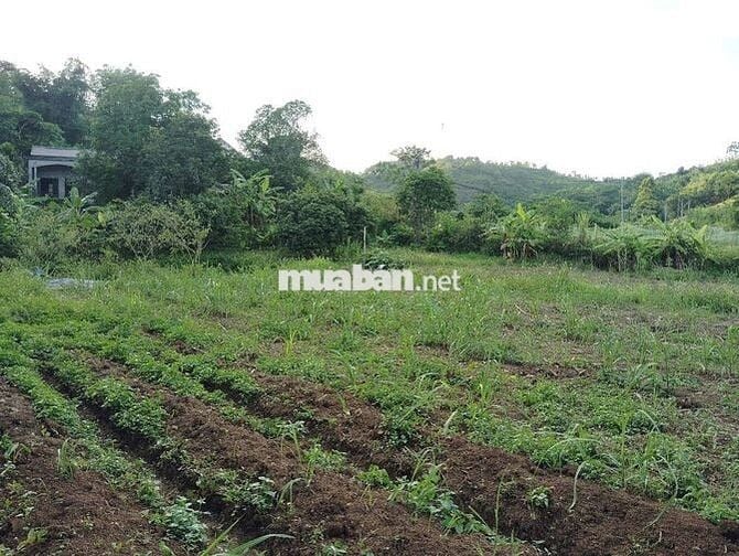 1500m2 Đất Vườn có 200m thổ cư + ao cá