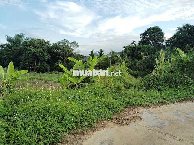 1500m2 Đất Vườn có 200m thổ cư + ao cá