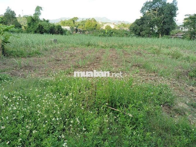 1500m2 Đất Vườn có 200m thổ cư + ao cá