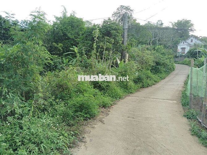 1500m2 Đất Vườn có 200m thổ cư + ao cá