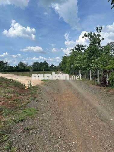 Điểm đầu Cao Tốc Buôn Ma Thuột - Khánh Hoà
