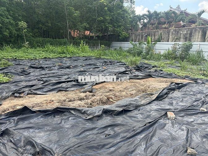 Bán Đất mặt tiền Đường Bùi Thị Điệt