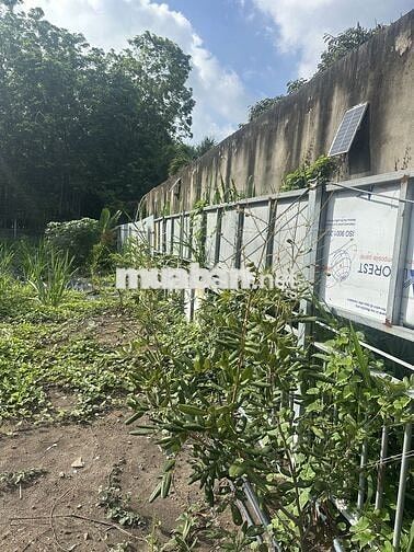 Bán Đất mặt tiền Đường Bùi Thị Điệt