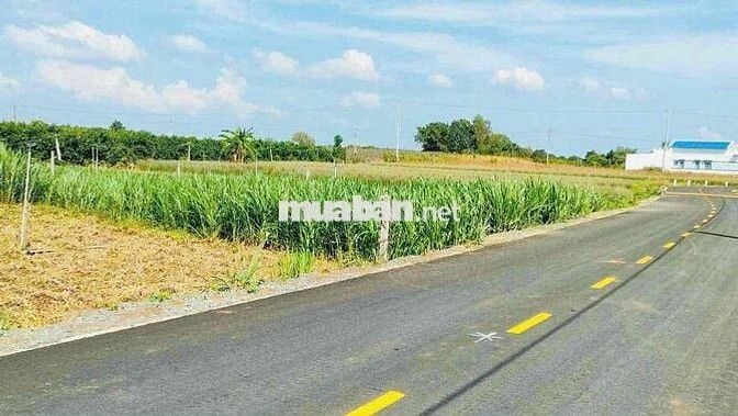 HẠ GIÁ - BÁN 461M2 ĐẤT VƯỜN XÃ ĐẤT ĐỎ- TpP HCM - CẠNH ĐƯỜNG CHUẨN BỊ M