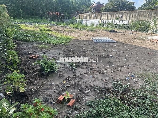 Bán Đất mặt tiền Đường Bùi Thị Điệt