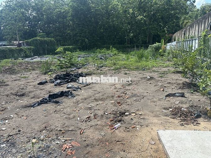 Bán Đất mặt tiền Đường Bùi Thị Điệt