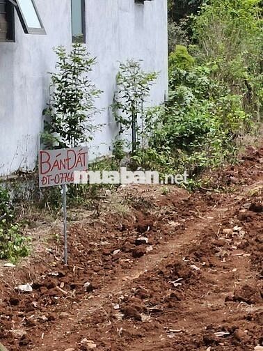 Chính chủ bán đất mặt tiền 9, 52m, đường nhựa 25m. Diện tích 620m2.