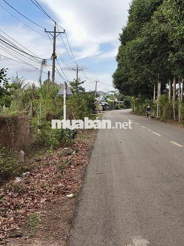 Chính chủ bán đất mặt tiền 9, 52m, đường nhựa 25m. Diện tích 620m2.