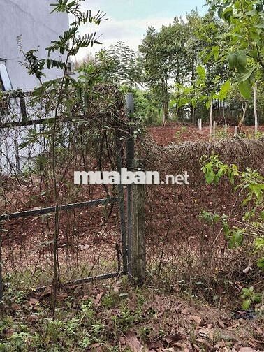 Chính chủ bán đất mặt tiền 9, 52m, đường nhựa 25m. Diện tích 620m2.