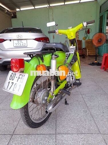 Honda Cub 81 Xanh lá, Cam