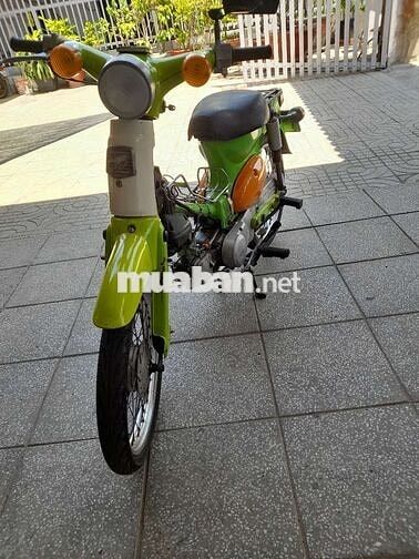 Honda Cub 81 Xanh lá, Cam