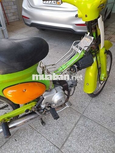 Honda Cub 81 Xanh lá, Cam